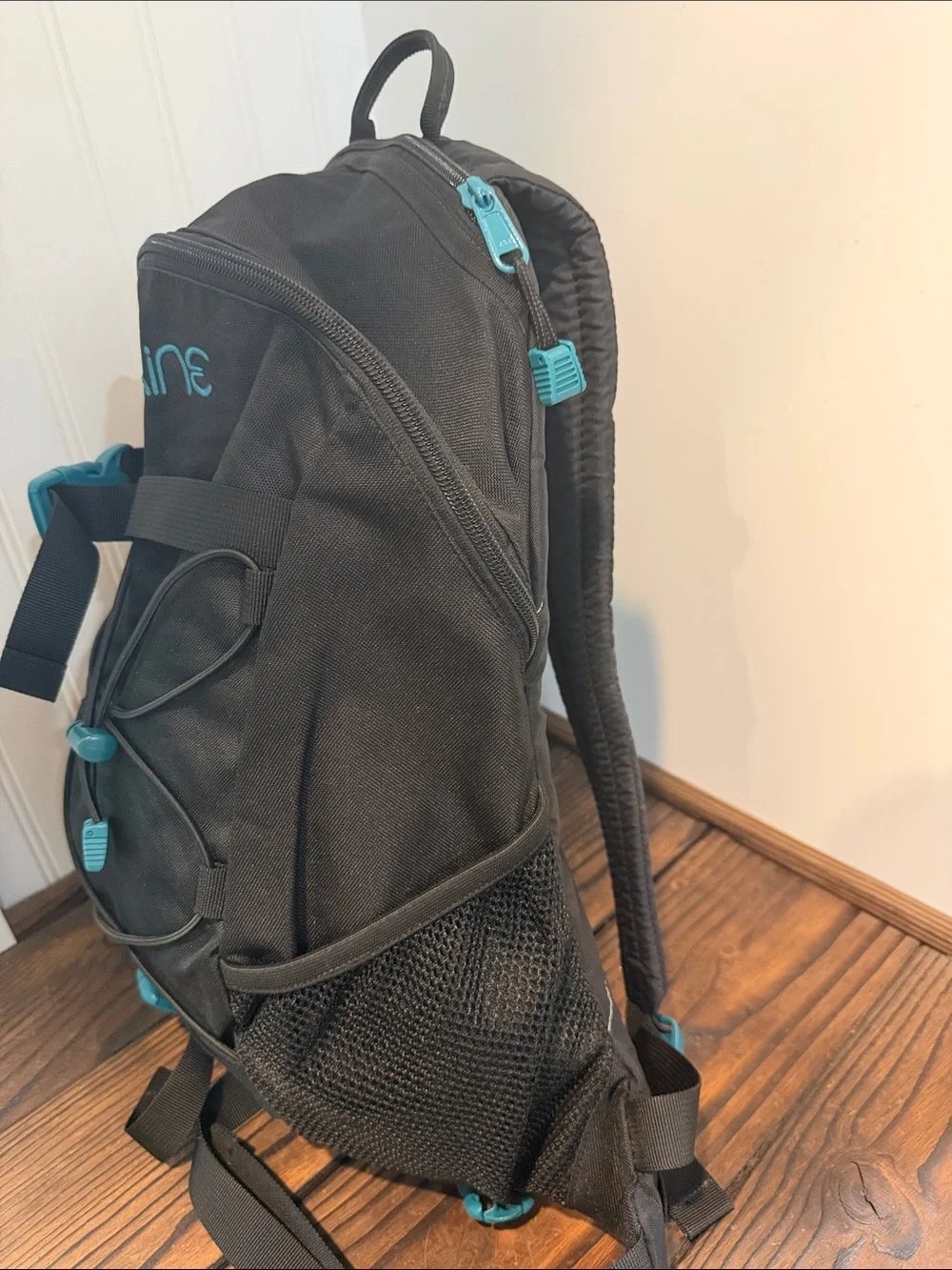 Dakine details 15l